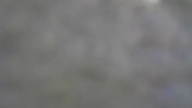 Snapshot of Buddy_Cuck chatting on January 7, 2026, 8:03 pm Buddy Cuck online show from January 7, 2026, 8:03 pm