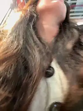 Snapshot of eveangelll chatting on December 5, 2025, 9:52 am eveangelll online show from December 5, 2025, 9:52 am