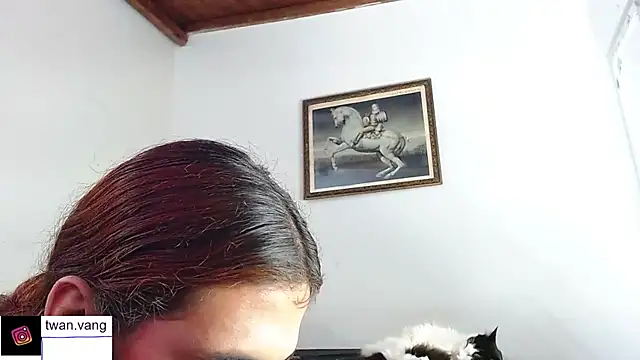 Trix fiore oficial online show from November 22, 2025, 3:05 am