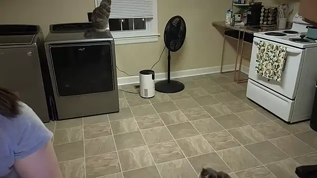 sexylilly69 online show from September 25, 2025, 12:49 am