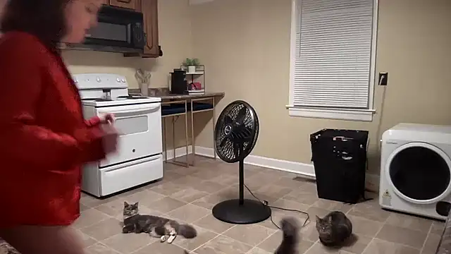 sexylilly69 online show from March 3, 2025, 1:28 am