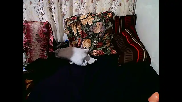 Snapshot of Indian_Blaze00 chatting on October 13, 2025, 2:13 am Indian Blaze00 online show from October 13, 2025, 2:13 am