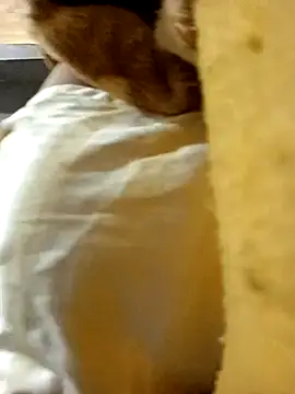 dGregoLCollT online show from November 10, 2025, 1:54 am