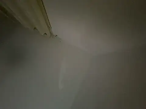 Snapshot of Bossinmidd12 chatting on February 22, 2025, 5:57 pm Bossinmidd12 online show from February 22, 2025, 5:57 pm