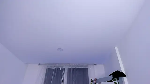 Snapshot of _mia_collins_b_ chatting on January 29, 2025, 1:48 am  mia collins b  online show from January 29, 2025, 1:48 am