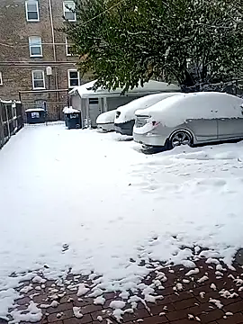 AmazonianMistress online show from November 10, 2025, 7:30 pm