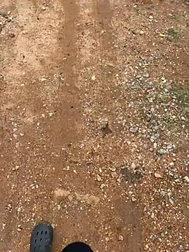 Black-mamba-madingo online show from March 29, 2026, 2:08 pm