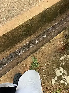 Black-mamba-madingo online show from October 3, 2025, 7:10 am