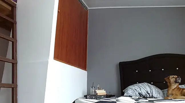 Snapshot of Emilia_1995 chatting on March 16, 2025, 6:23 pm Emilia 1995 online show from March 16, 2025, 6:23 pm