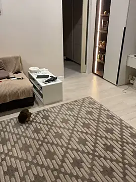 Big Mini online show from January 23, 2025, 12:46 am