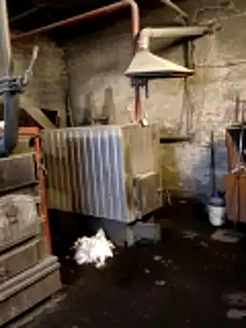 MityaXLoves online show from March 12, 2026, 6:56 pm