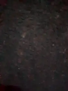 Rozittaa online show from November 9, 2025, 5:17 pm