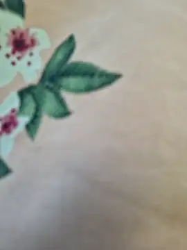 Priya Bong online show from March 10, 2026, 2:59 am