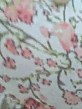 Snapshot of Priya_Bong chatting on July 18, 2026, 2:31 am Priya Bong online show from July 18, 2026, 2:31 am