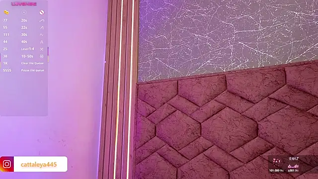 Snapshot of cattaleya___ chatting on March 19, 2025, 9:17 am cattaleya online show from March 19, 2025, 9:17 am