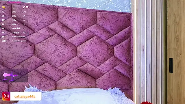 Snapshot of cattaleya___ chatting on March 15, 2025, 11:06 pm cattaleya online show from March 15, 2025, 11:06 pm