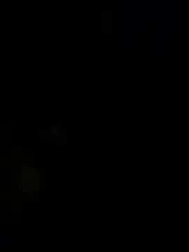 panchito3512 online show from December 14, 2024, 3:06 am