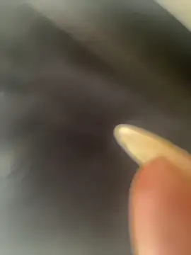 DarianaGuzz online show from October 31, 2025, 10:16 pm