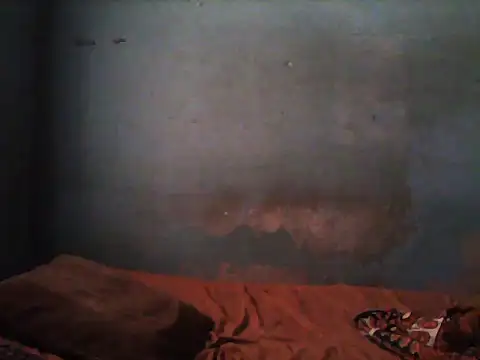 Snapshot of little__joy chatting on November 5, 2025, 1:47 pm little joy online show from November 5, 2025, 1:47 pm