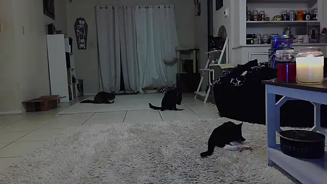 CrystalLakeXO online show from October 19, 2025, 7:44 am