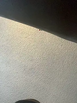 Miguel16i online show from February 26, 2025, 4:49 pm