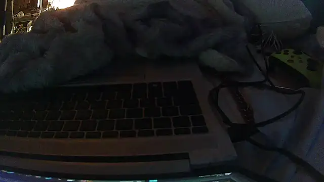 jaxx12369 online show from February 10, 2026, 7:35 pm