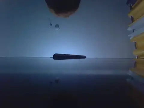 Snapshot of Autumnblack003 chatting on February 21, 2026, 8:44 pm Autumnblack003 online show from February 21, 2026, 8:44 pm