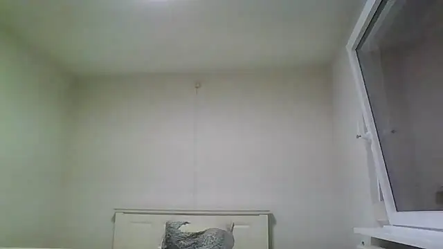 Wesleymodel online show from February 10, 2026, 7:24 pm