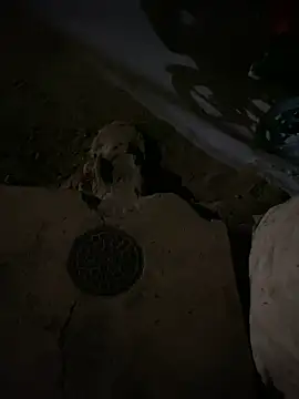 Snapshot of nowex18 chatting on March 6, 2025, 6:52 am nowex18 online show from March 6, 2025, 6:52 am