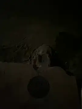 Snapshot of nowex18 chatting on March 14, 2025, 5:48 am nowex18 online show from March 14, 2025, 5:48 am