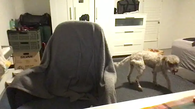 Snapshot of Totipro69 chatting on February 16, 2025, 7:05 pm Totipro69 online show from February 16, 2025, 7:05 pm