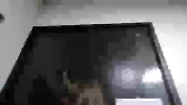 mmmVirginia online show from March 24, 2026, 2:55 am