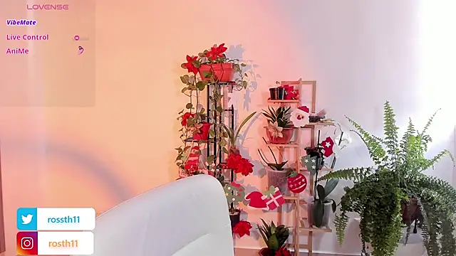 rossth1 online show from November 26, 2025, 7:03 pm