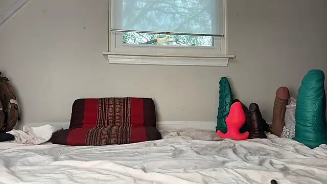 Snapshot of Theonlydreamybull chatting on December 3, 2025, 4:50 pm Theonlydreamybull online show from December 3, 2025, 4:50 pm