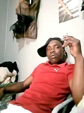 199Gif online show from February 8, 2026, 6:44 am