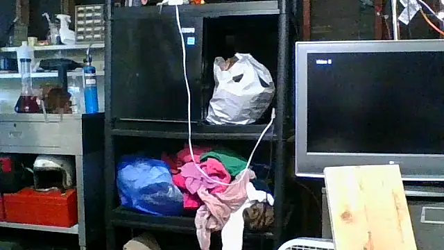 Snapshot of allissonw13 chatting on November 5, 2025, 11:19 pm allissonw13 online show from November 5, 2025, 11:19 pm