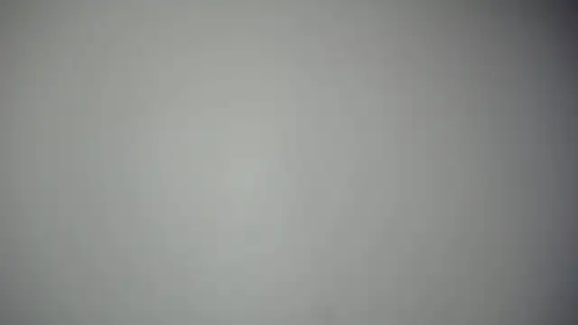 luly pink online show from October 9, 2025, 3:18 am