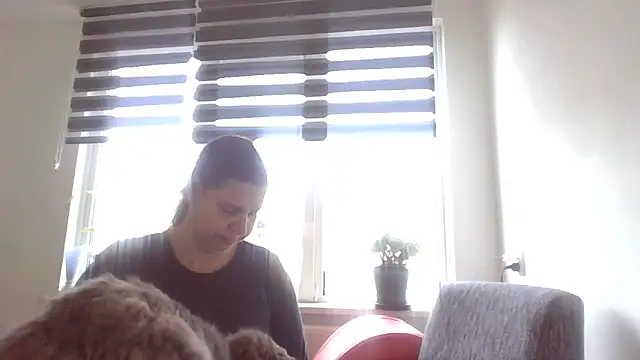 Snapshot of Mir_boobs_ chatting on November 3, 2025, 11:14 am Mir boobs online show from November 3, 2025, 11:14 am