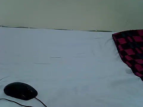 Snapshot of pointy_bloom chatting on November 14, 2025, 4:32 pm pointy bloom online show from November 14, 2025, 4:32 pm