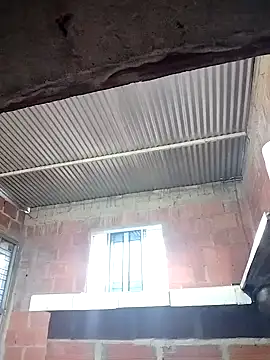 ariana d20 online show from October 21, 2025, 11:09 am