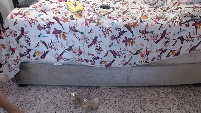 daniela starks online show from March 12, 2026, 11:09 pm