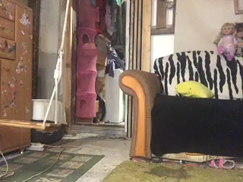 Snapshot of frenkynator chatting on November 15, 2025, 9:19 pm frenkynator online show from November 15, 2025, 9:19 pm