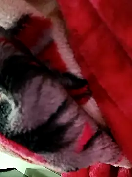 PVNRAO0831 online show from September 23, 2025, 4:58 pm