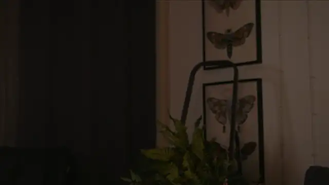 Freckle Diyana online show from September 27, 2025, 10:05 pm