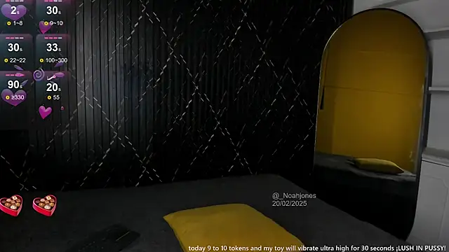 Snapshot of _noahjones chatting on February 20, 2025, 12:15 pm noahjones online show from February 20, 2025, 12:15 pm