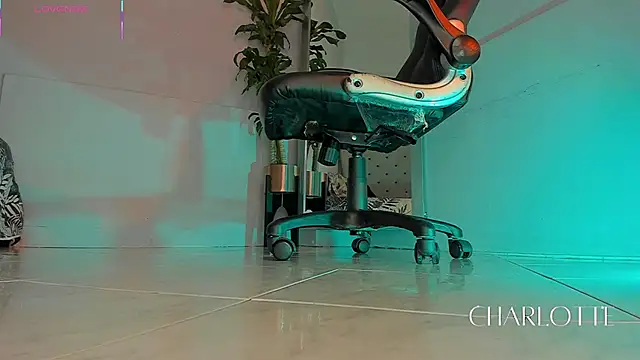 Snapshot of charlotte__grey chatting on November 20, 2025, 8:42 pm charlotte grey online show from November 20, 2025, 8:42 pm