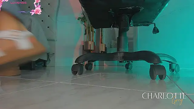 Snapshot of charlotte__grey chatting on February 20, 2026, 8:11 pm charlotte grey online show from February 20, 2026, 8:11 pm