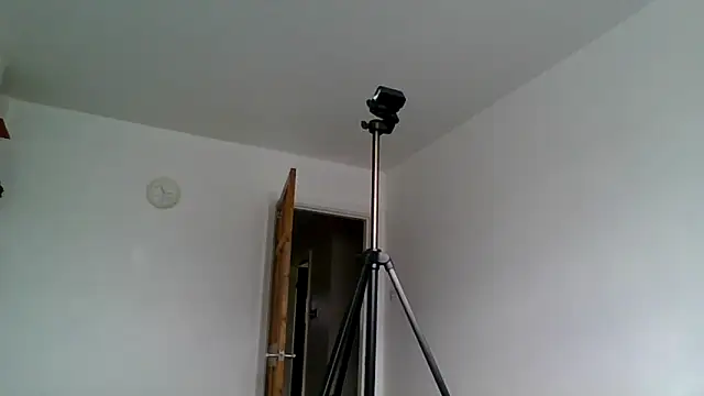 jimmybenido online show from October 8, 2025, 10:17 am