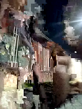 Snapshot of Gutierrez6383 chatting on April 21, 2026, 4:52 am Gutierrez6383 online show from April 21, 2026, 4:52 am