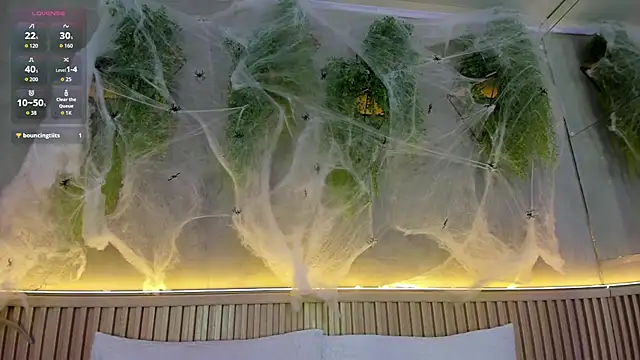 Lana Lann online show from October 25, 2025, 12:50 pm